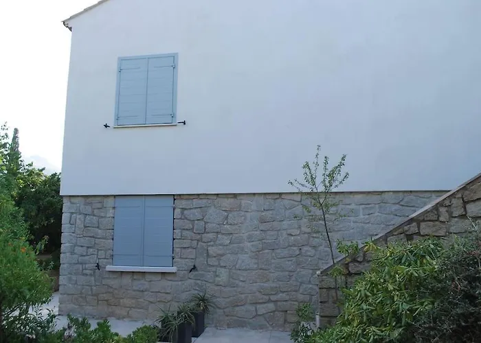 L'umbria Calvi (Corsica)